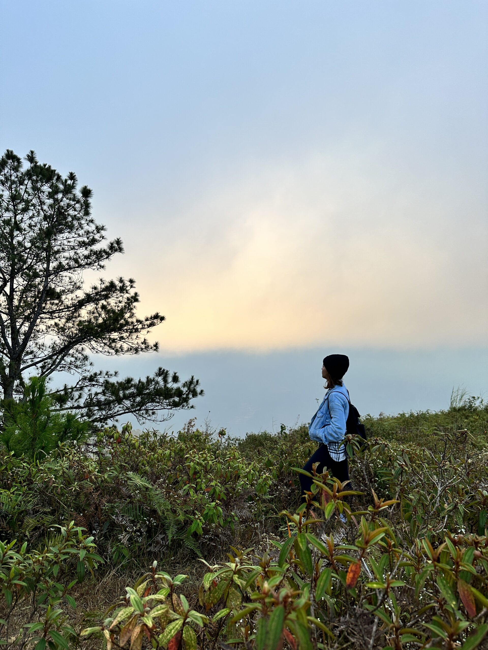 Why Cordillera Should Be on Your Philippine Bucket List
